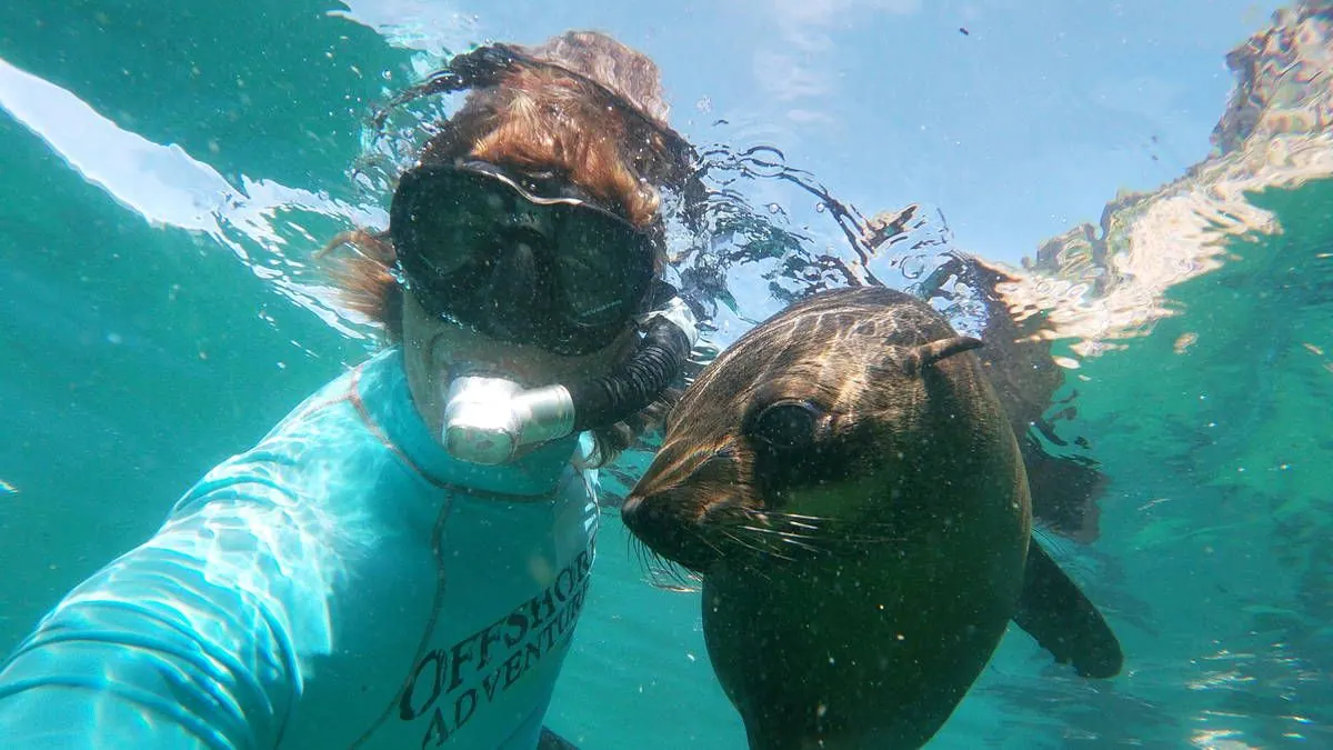 An Offshore Adventures guide takes a selfie with a seal at the surface
