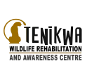 Tenikwa Wildlife Rehabilitation