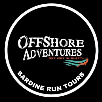 Offshore Adventures Sardine Run Tours