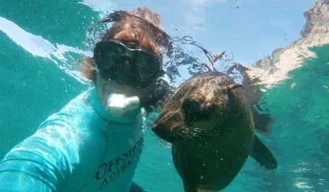 A guest in a mask beside a seal at the surface