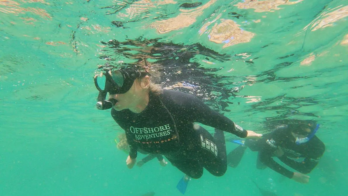 A snorkeller in an Offshore Adventures wetsuit with a second swimmer behind