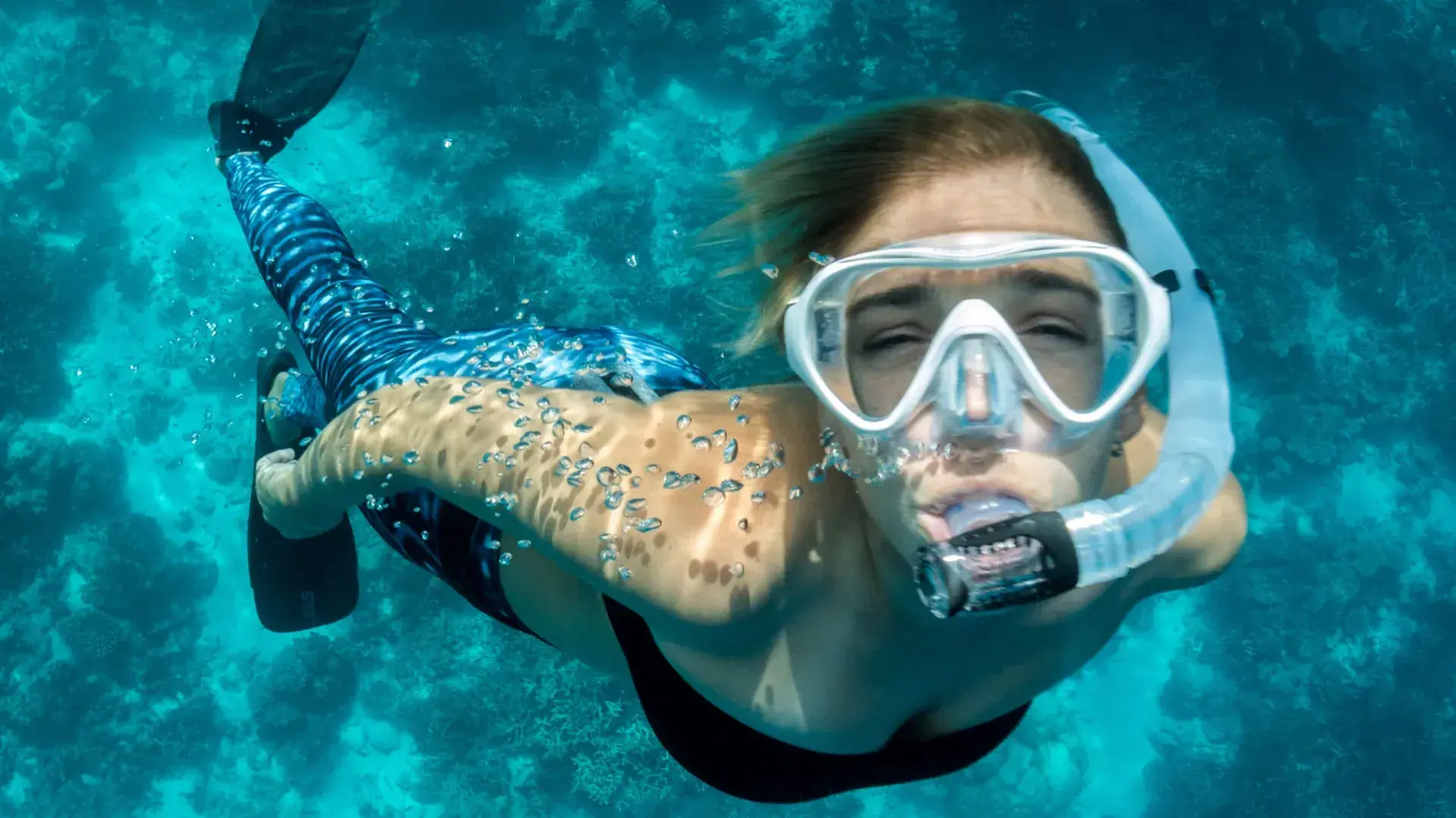 A snorkeller in a mask swims alongside a seal